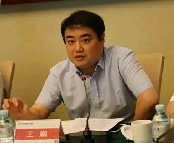 王鹏.jpg