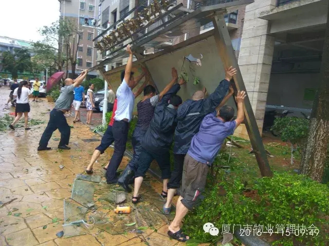 4.webp.jpg