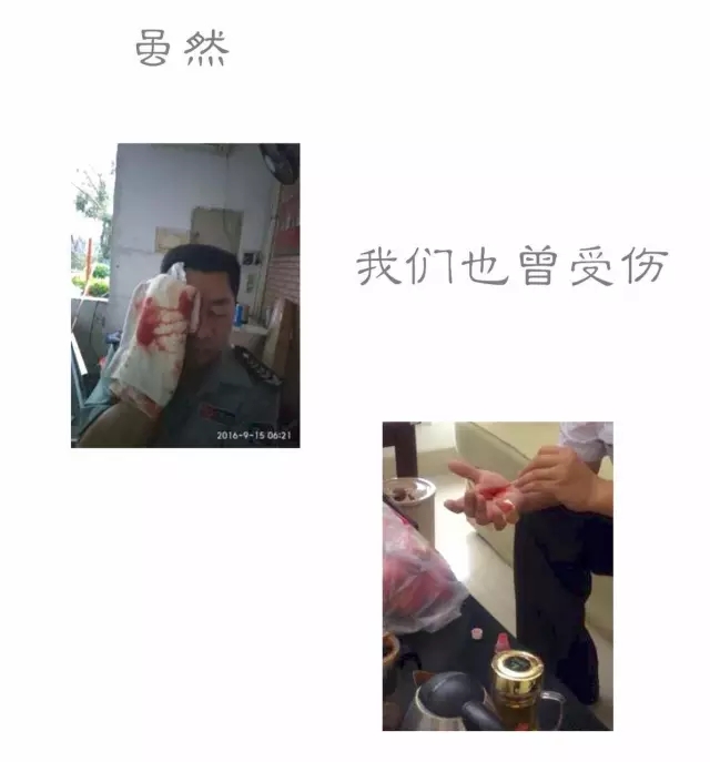 15.webp.jpg