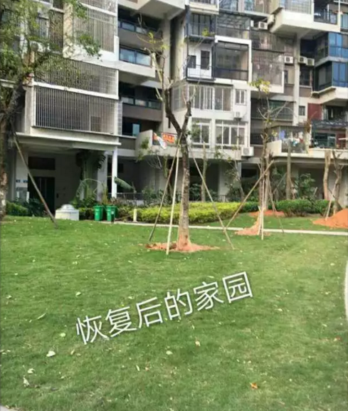 16.png