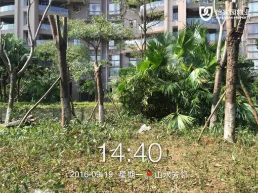 6.png
