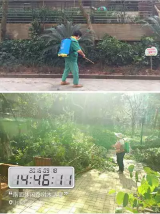 17.png