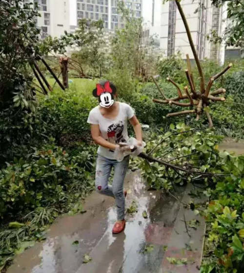 7.png